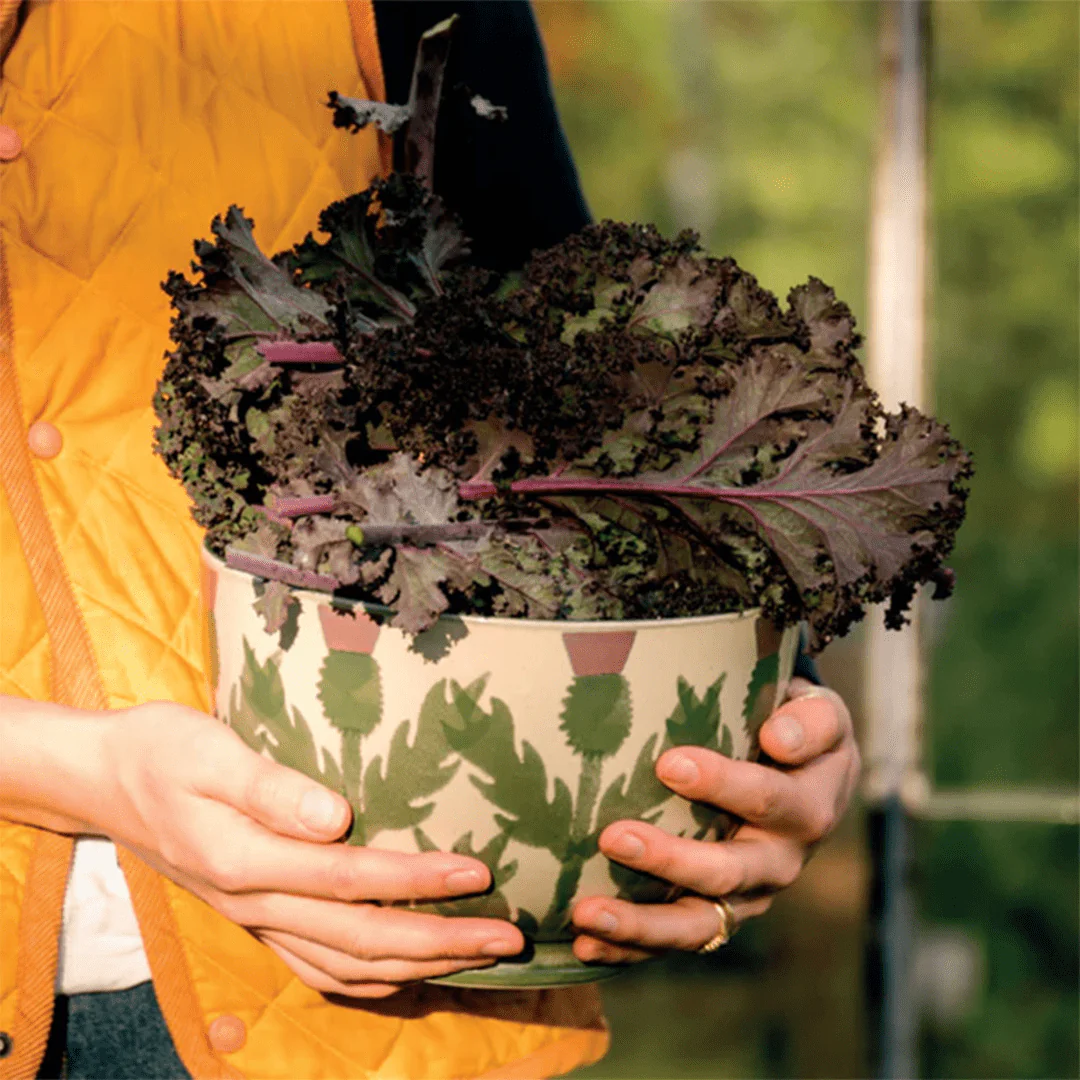 Cream Thistle Salad Bowl - Image 2