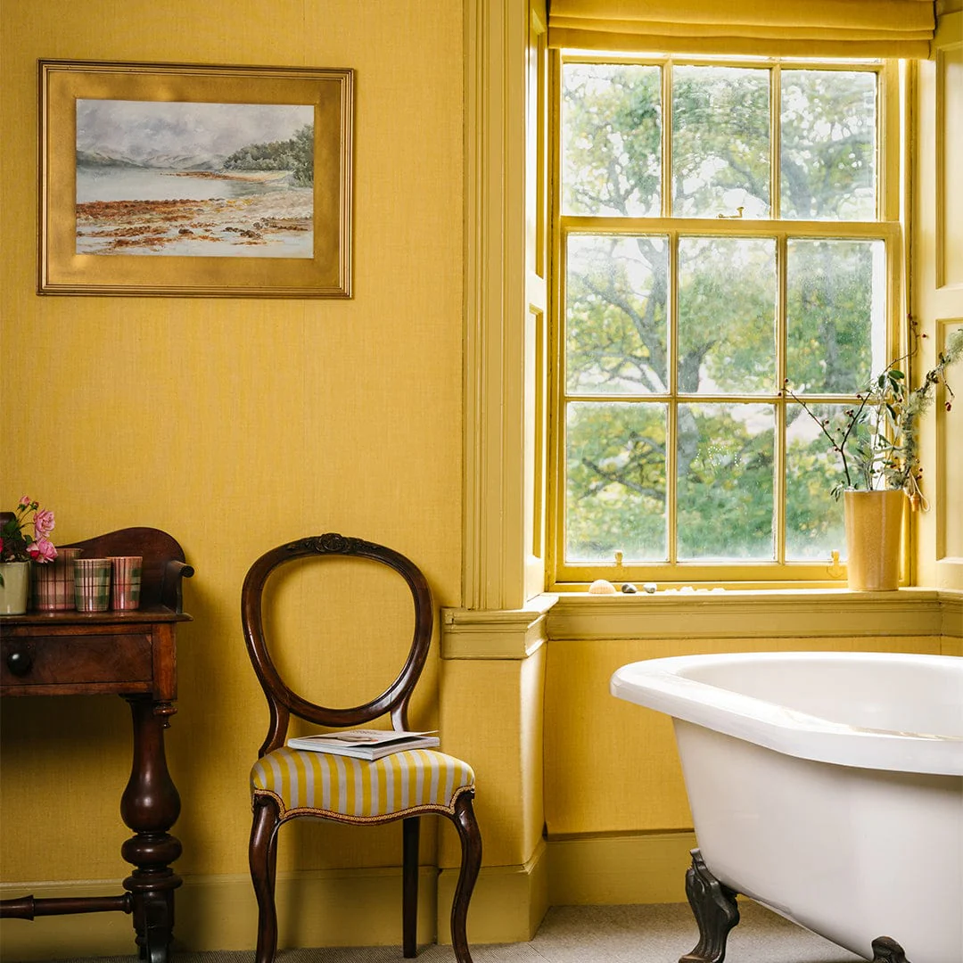 Paint Sample in ANTA Harvest Yellow - Image 2